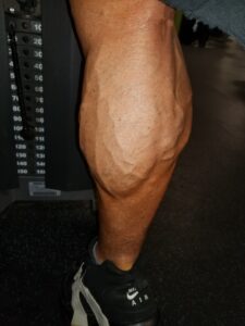 Calves muscle used in squats