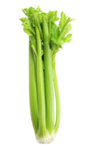 Healthy vegetable Celery Keto Diet
