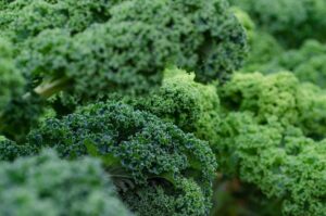 Green vegetable kale